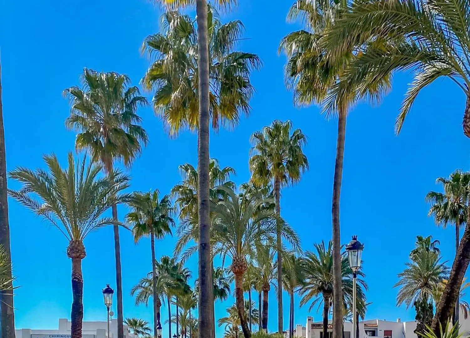 דירות Casares Del Sol 2426 Penthouse With Seaviews